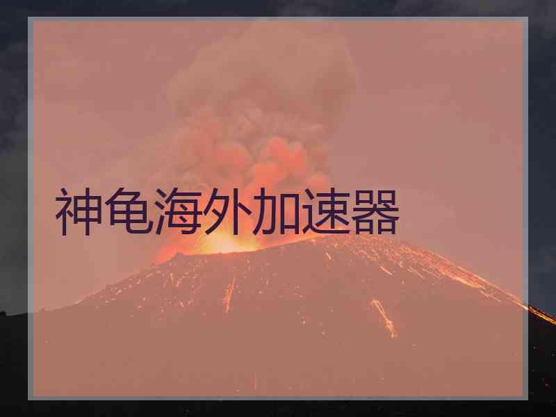 神龟海外加速器