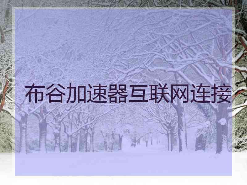 布谷加速器互联网连接