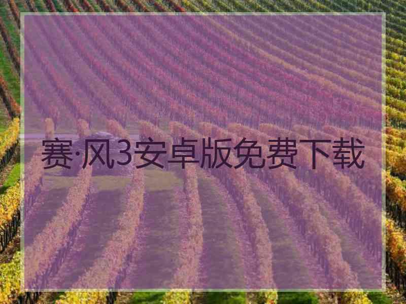 赛·风3安卓版免费下载