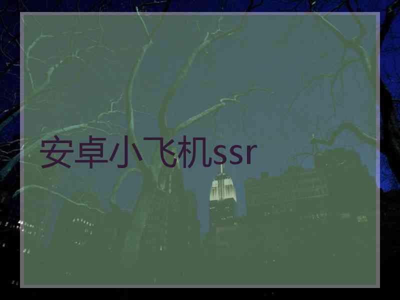 安卓小飞机ssr