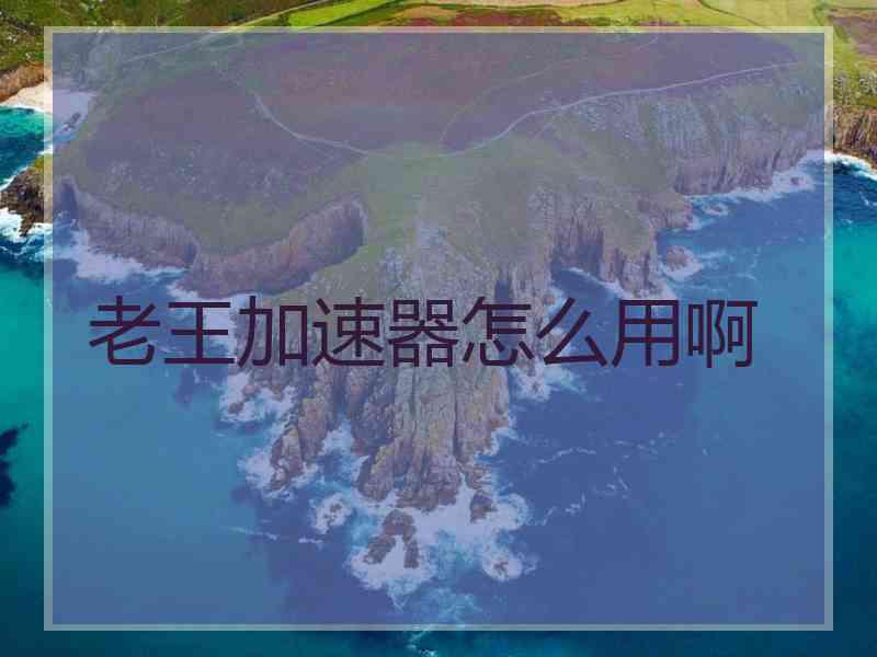老王加速器怎么用啊
