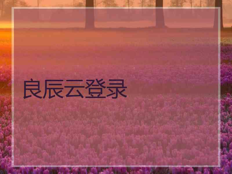 良辰云登录