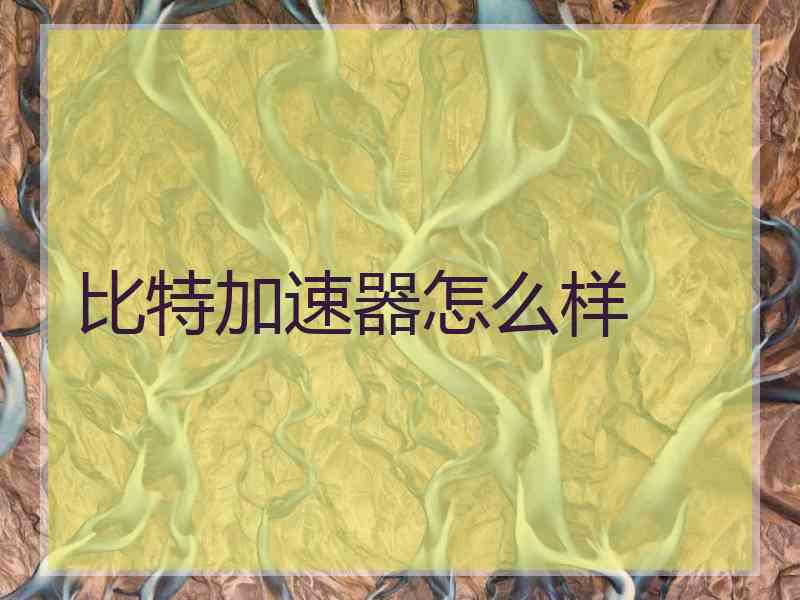 比特加速器怎么样
