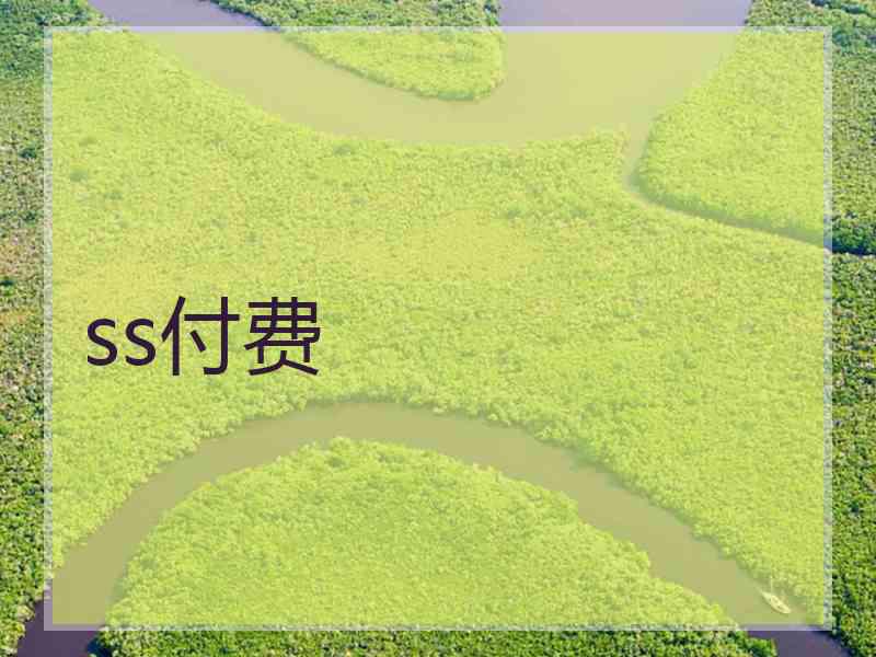 ss付费