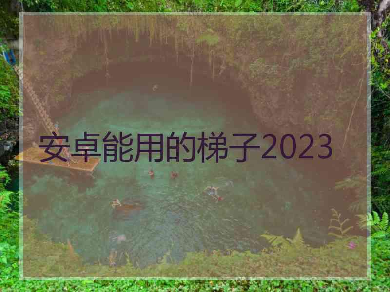 安卓能用的梯子2023