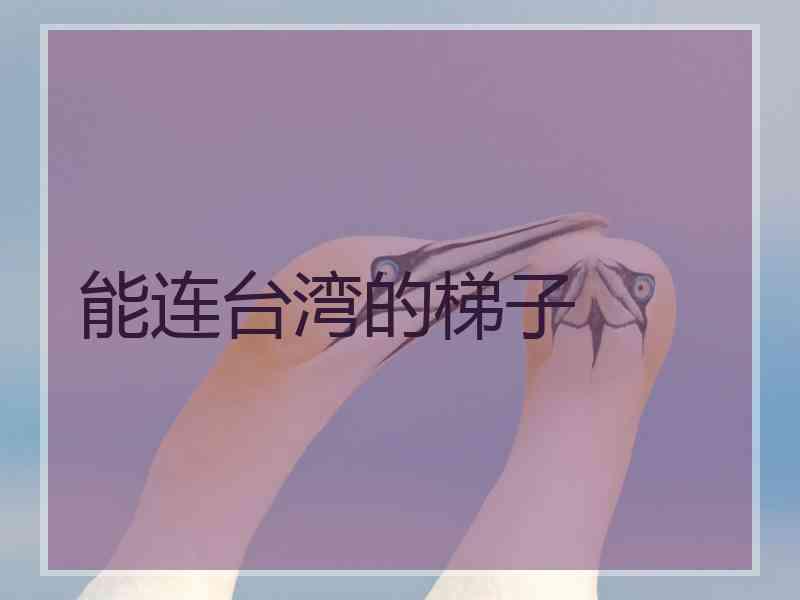 能连台湾的梯子