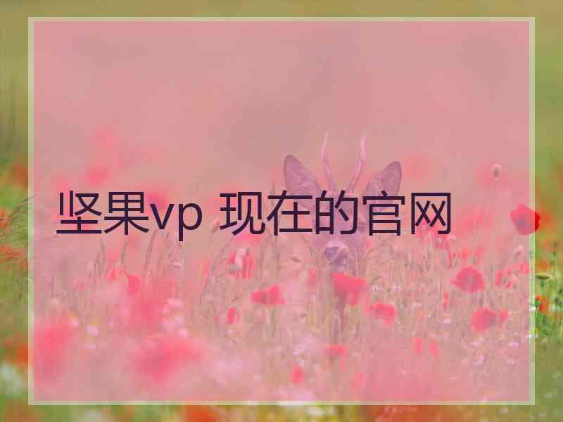 坚果vp 现在的官网