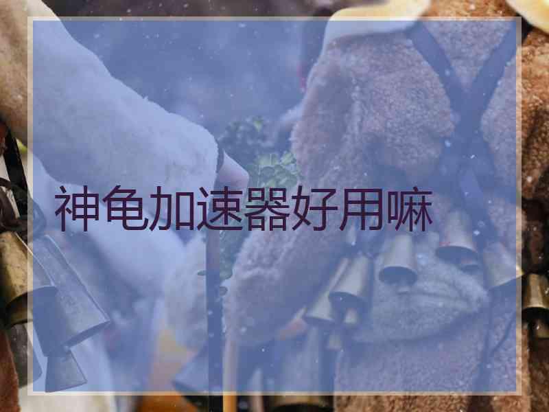 神龟加速器好用嘛