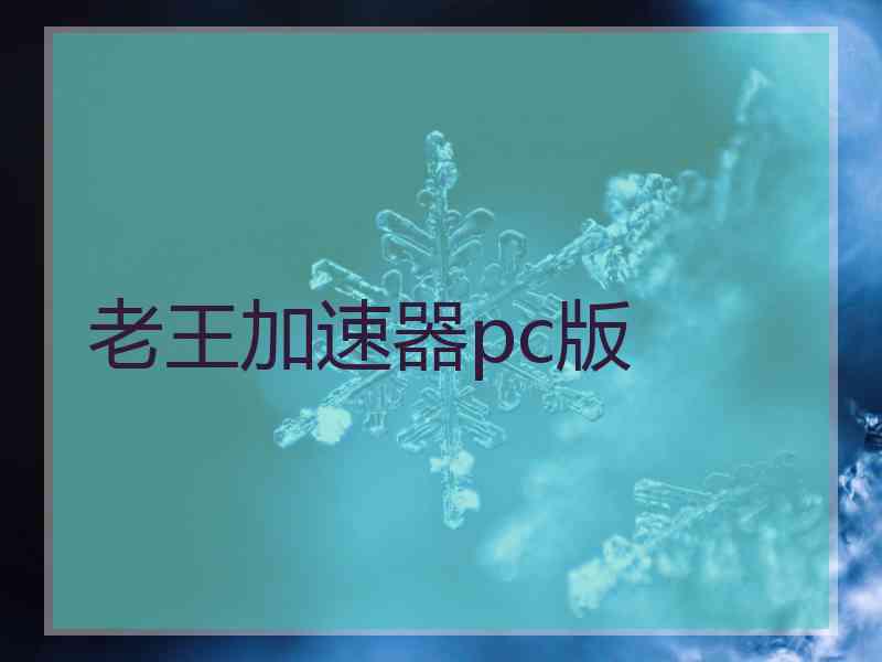 老王加速器pc版