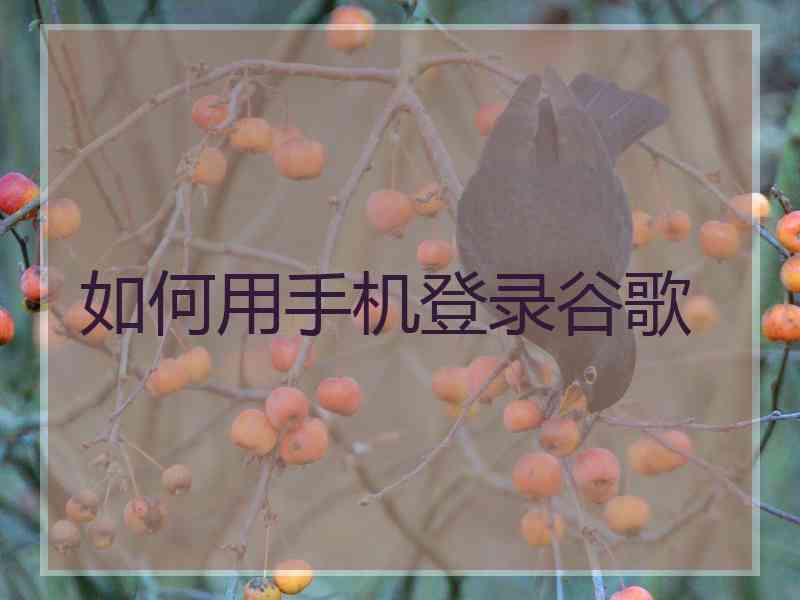 如何用手机登录谷歌