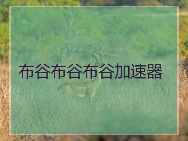 布谷布谷布谷加速器