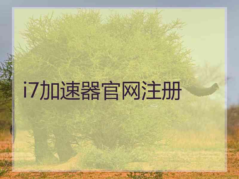 i7加速器官网注册