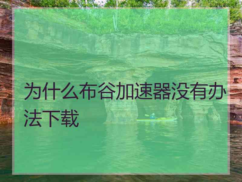 为什么布谷加速器没有办法下载