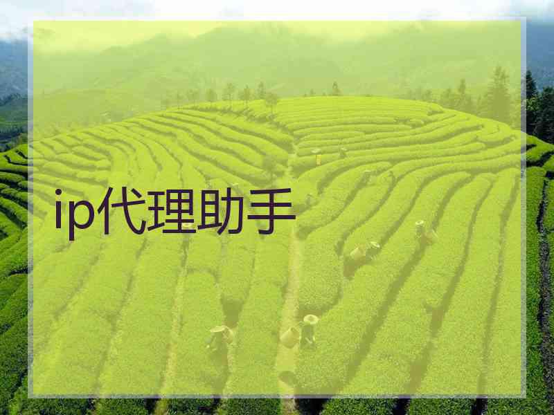 ip代理助手