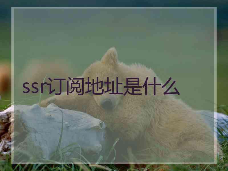 ssr订阅地址是什么
