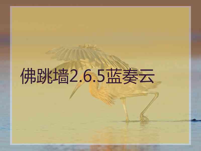 佛跳墙2.6.5蓝奏云