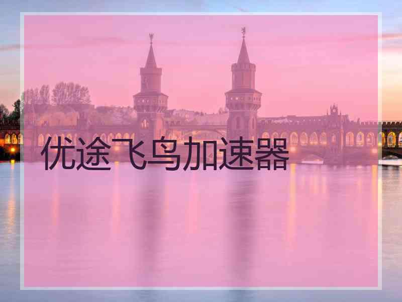 优途飞鸟加速器