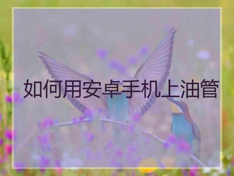 如何用安卓手机上油管