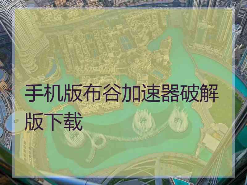 手机版布谷加速器破解版下载