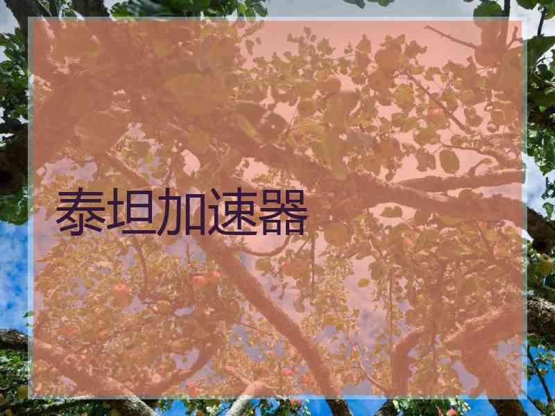 泰坦加速器