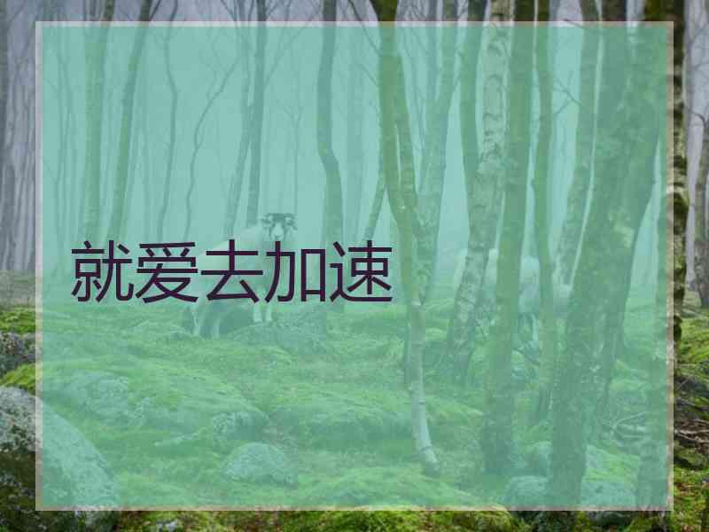 就爱去加速