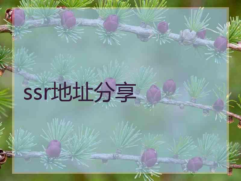 ssr地址分享