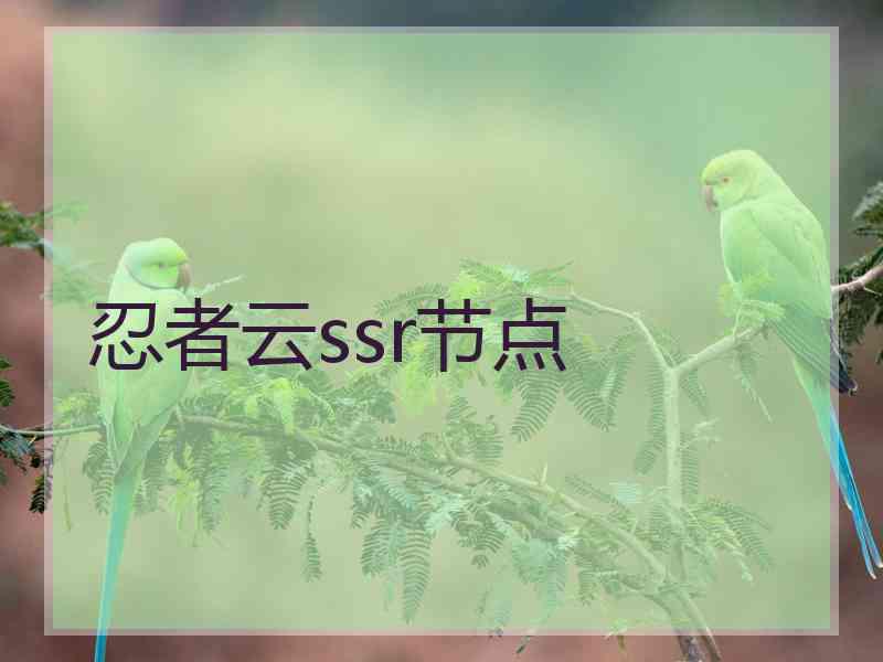 忍者云ssr节点