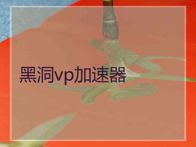 黑洞vp加速器