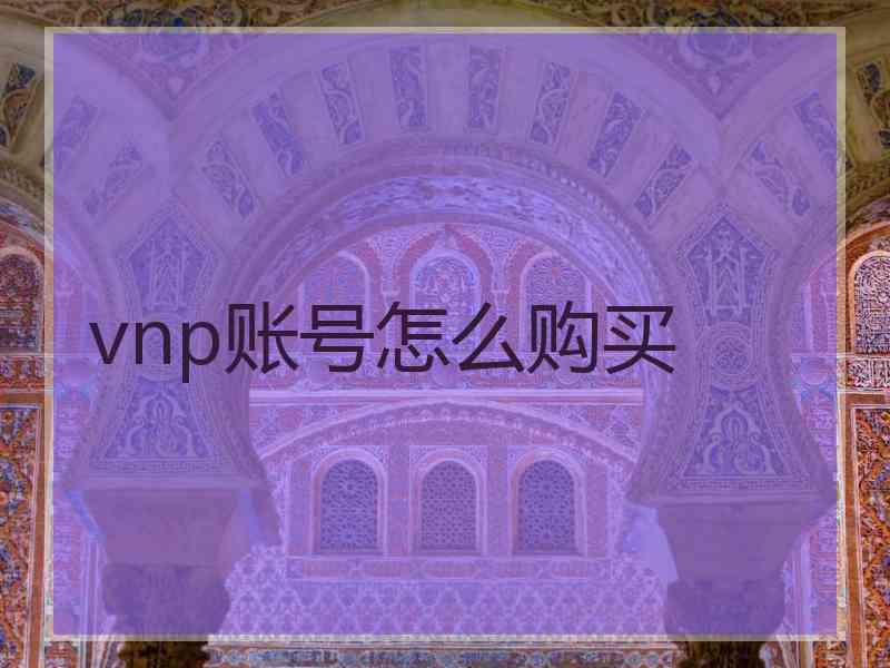 vnp账号怎么购买