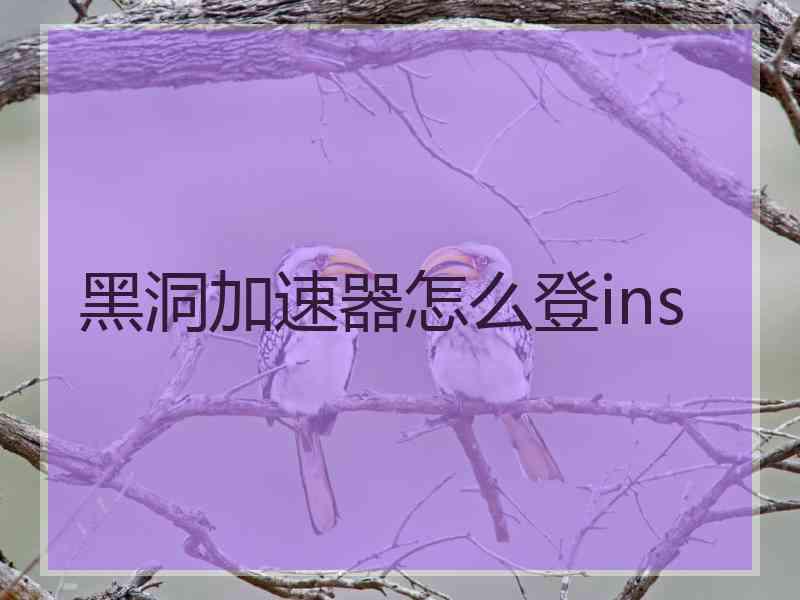 黑洞加速器怎么登ins