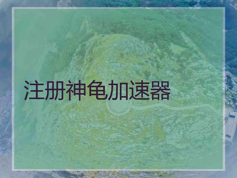 注册神龟加速器