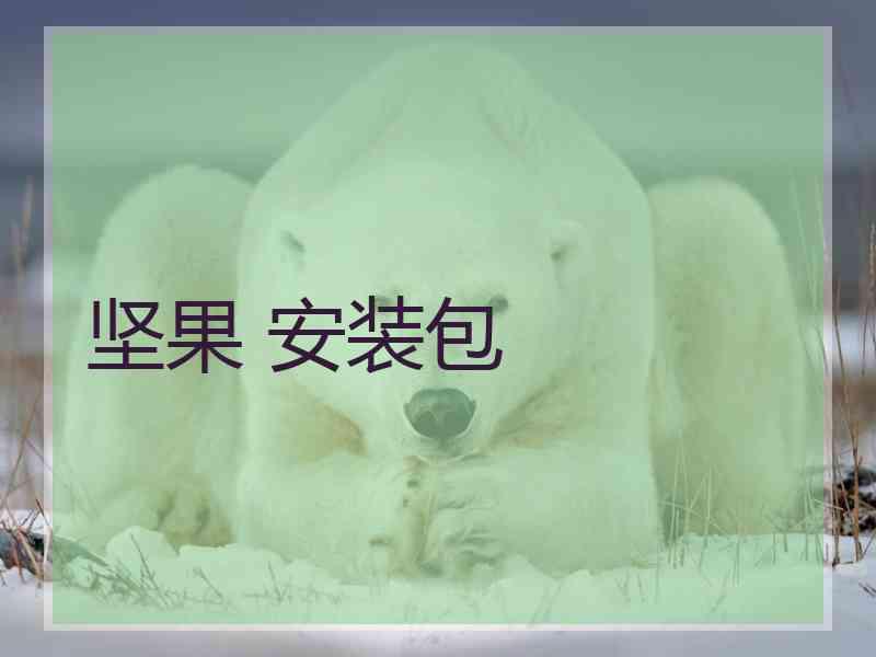 坚果 安装包