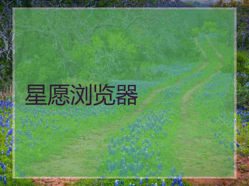 星愿浏览器