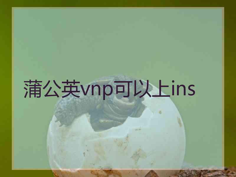 蒲公英vnp可以上ins