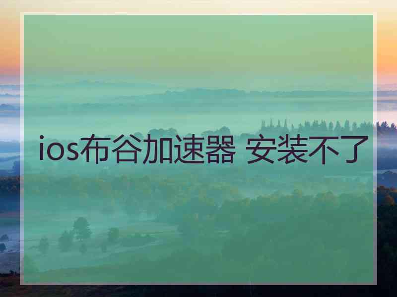 ios布谷加速器 安装不了