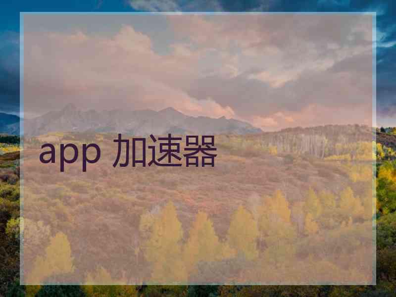 app 加速器