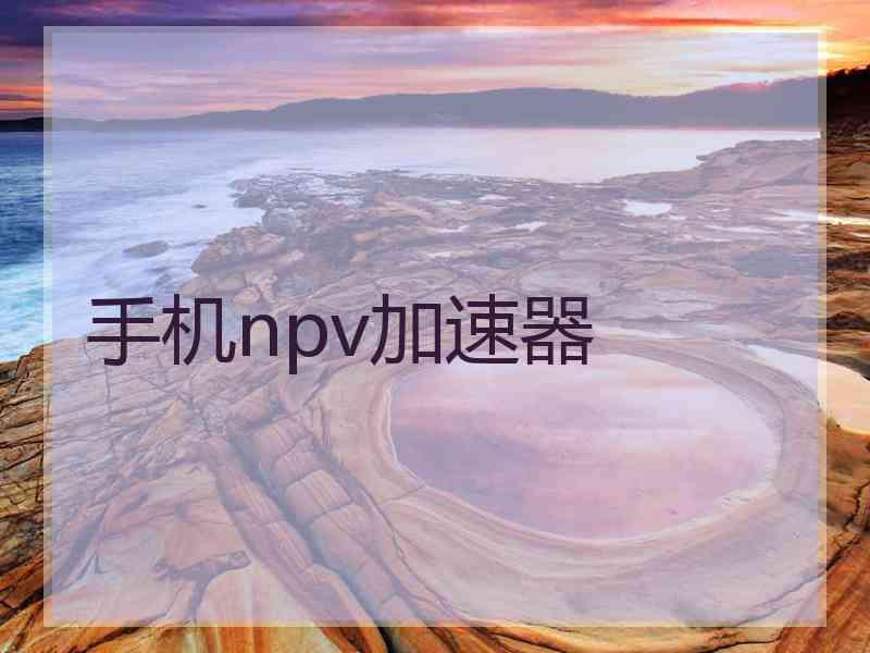 手机npv加速器
