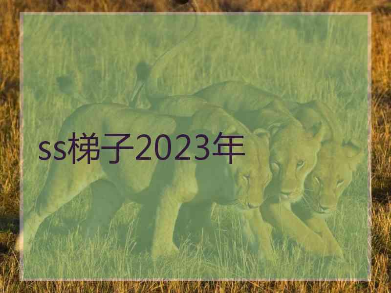 ss梯子2023年