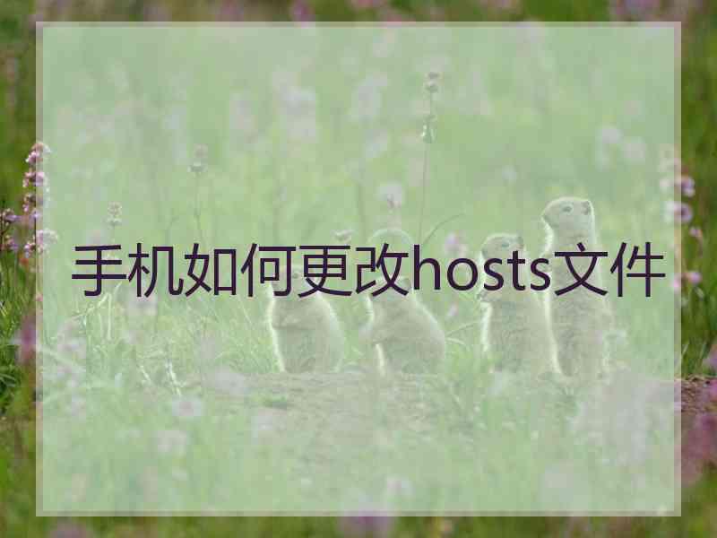手机如何更改hosts文件