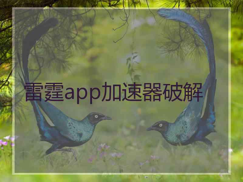 雷霆app加速器破解