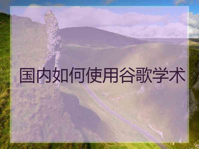 国内如何使用谷歌学术