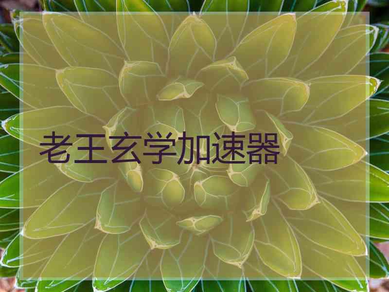老王玄学加速器