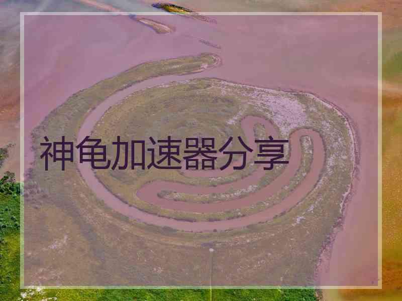 神龟加速器分享