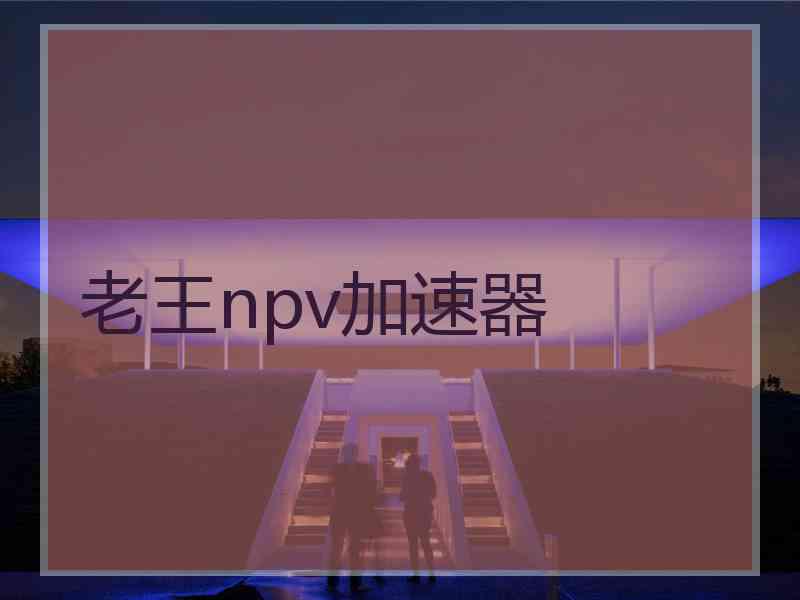 老王npv加速器