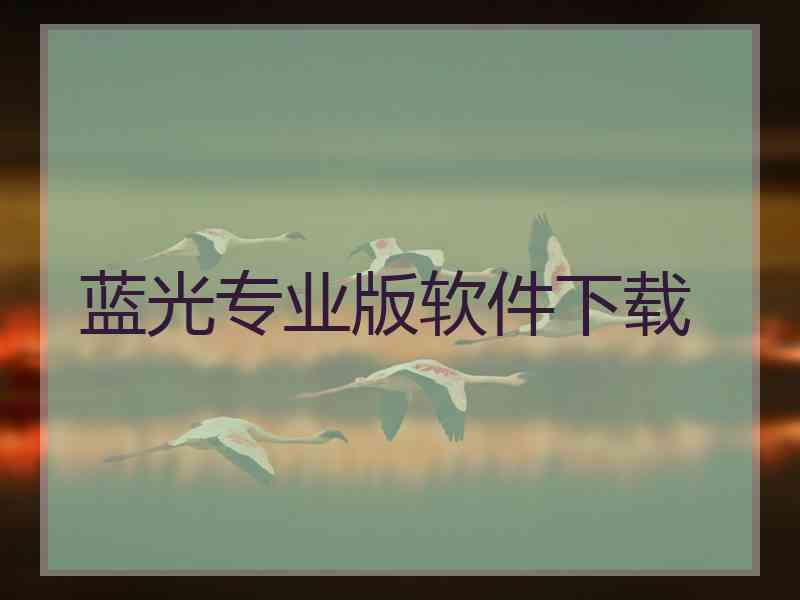 蓝光专业版软件下载