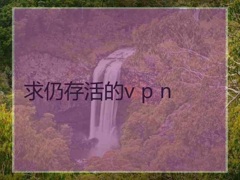 求仍存活的v p n