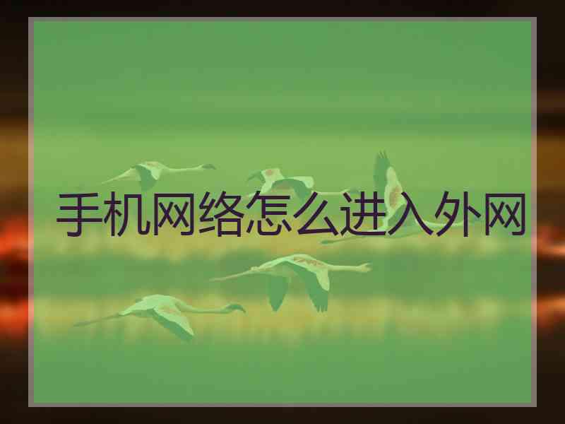 手机网络怎么进入外网