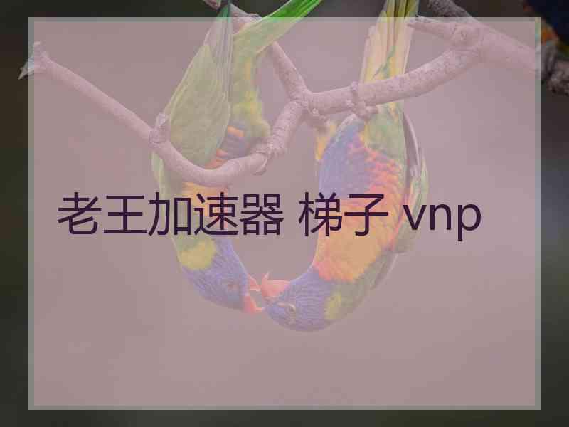 老王加速器 梯子 vnp