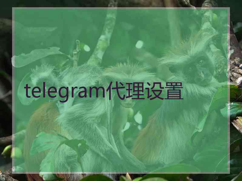 telegram代理设置
