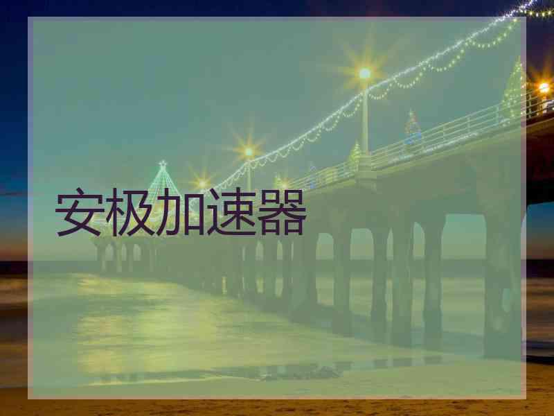 安极加速器